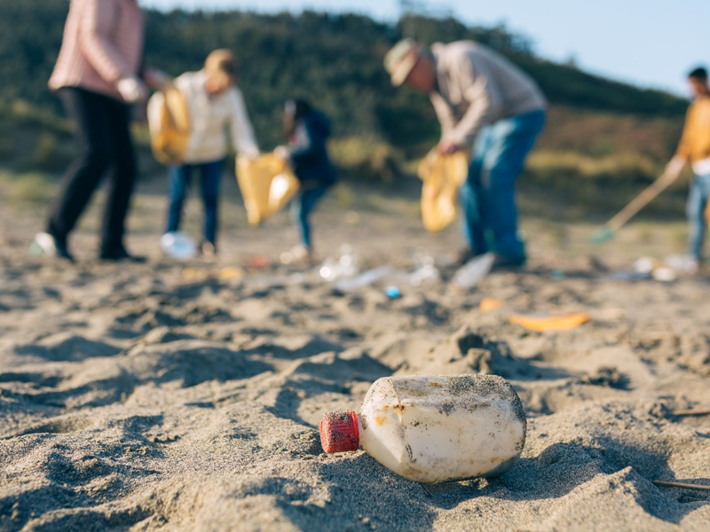 SDGs学習 海洋プログラム